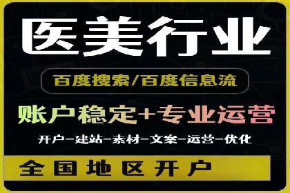 百度广告投放策略与效果评估案例
